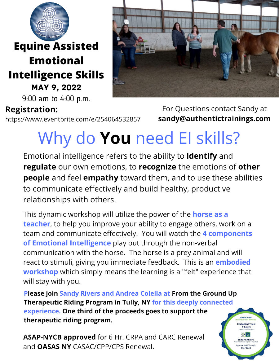 Equine Assisted Emotional Intelligence Skills Flyer